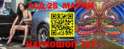эйфоретик Кимры