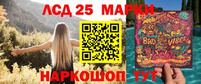 эйфоретик Кимры