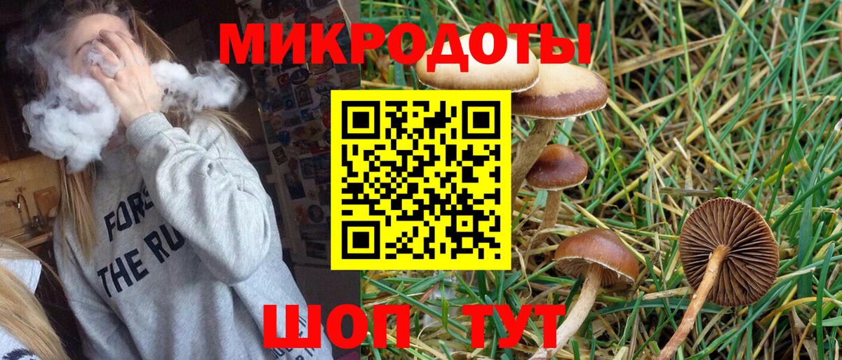 Ялта  Псилоцибиновые грибы Cubensis  Вход с VPN 